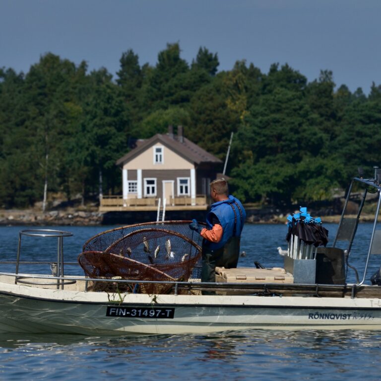 1308kalastaja DSC8536rs cropped 768x768