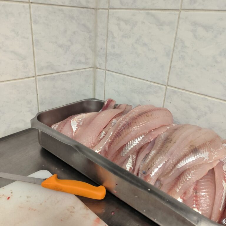 5056 cropped 2 768x768