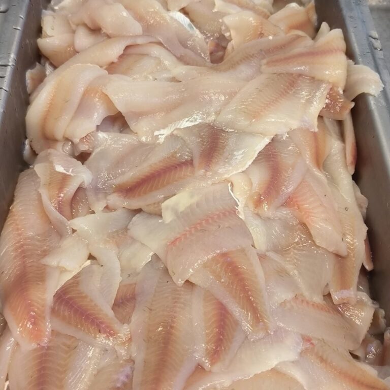 FB IMG 1757227388061 cropped 1 768x768