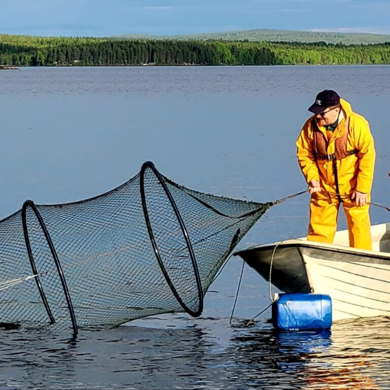 IMG 20220612 WA0001 cropped 768x768