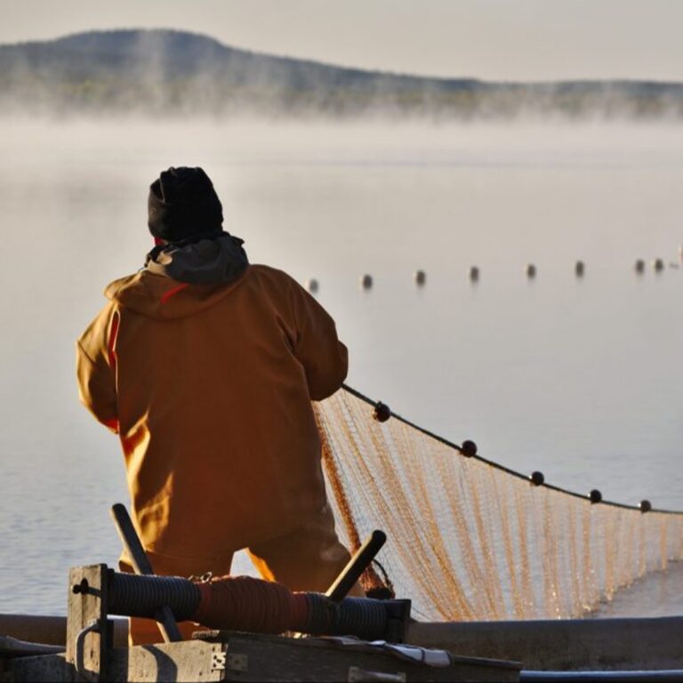 IMG 20220827 WA0015 cropped 768x768