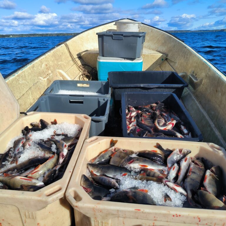 IMG 20250521 090328 cropped 768x768