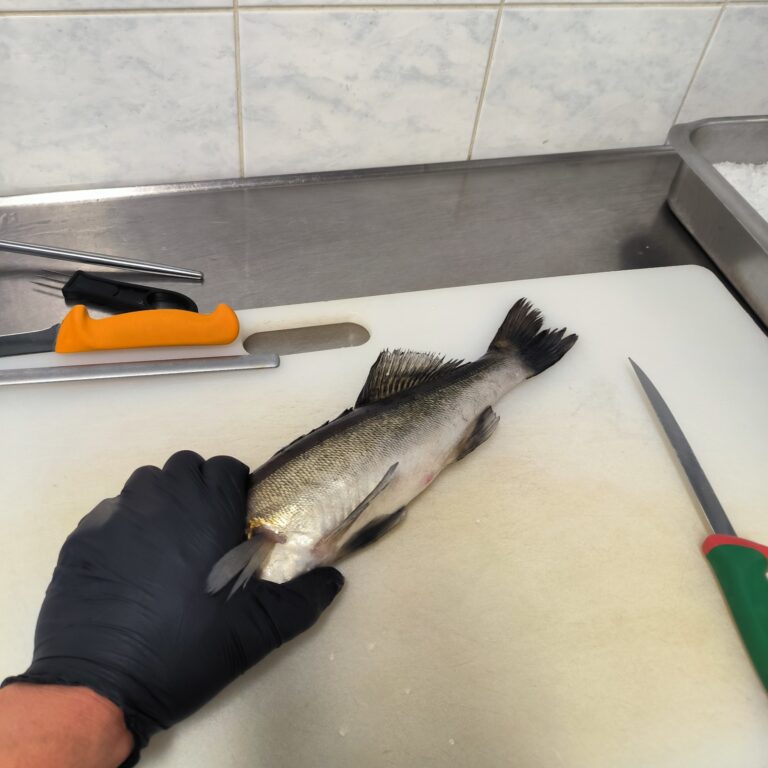 IMG 20250612 124127 cropped 768x768