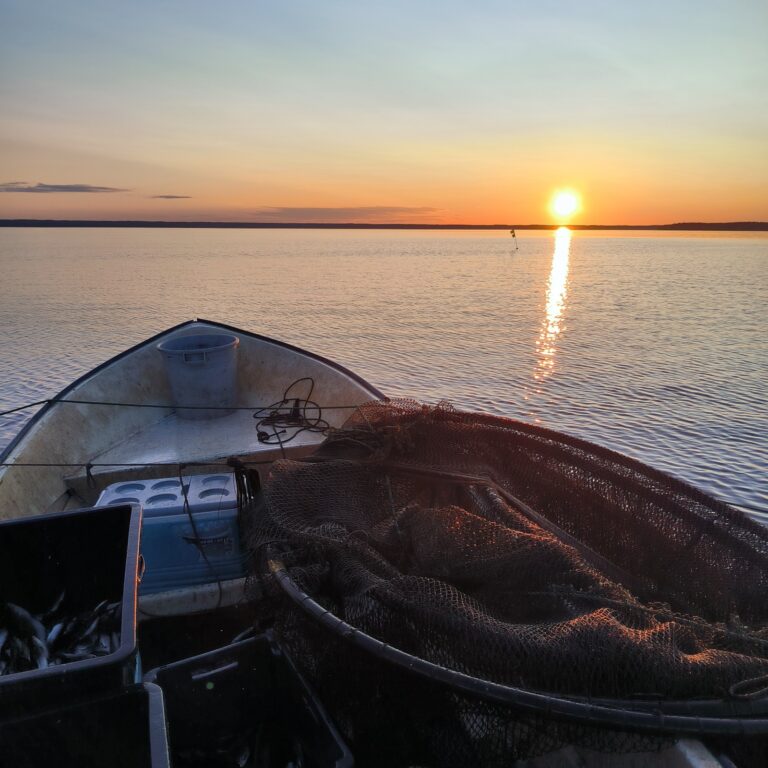 IMG 20250626 225756 cropped 1 768x768