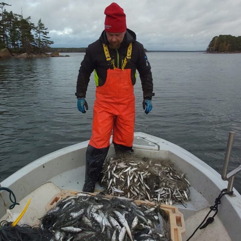 c51b0ddb 1233 44cb 9cc3 c28c254ab6f6 cropped 768x768