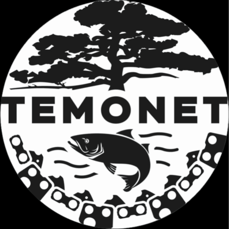 IMG 1318 cropped 768x768