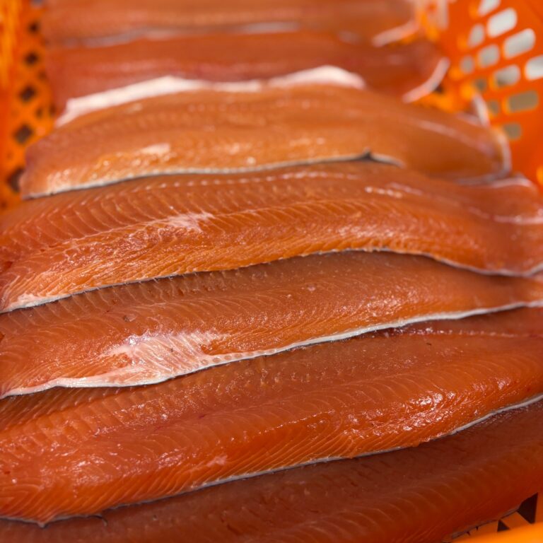 IMG 2727 cropped 768x768