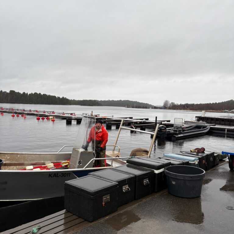 IMG 2932 cropped 768x768