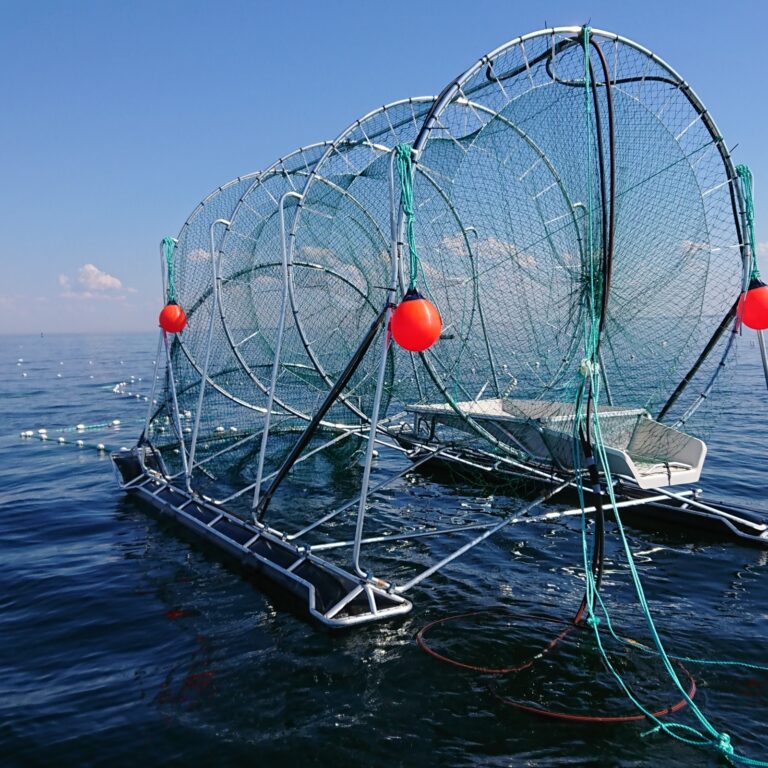 DSC 0421 cropped 768x768