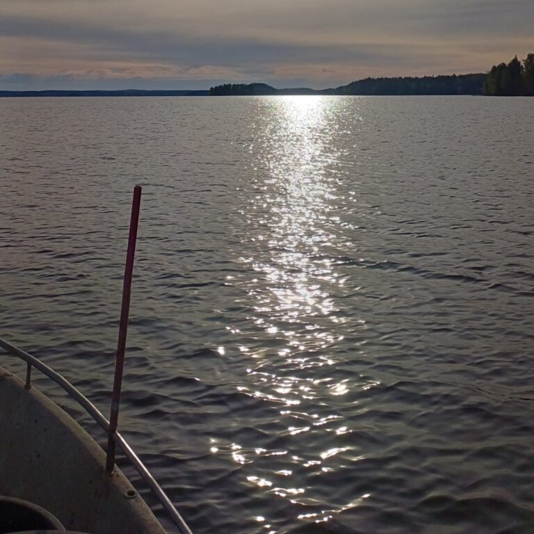 IMG 20251219 WA0000 cropped 768x768