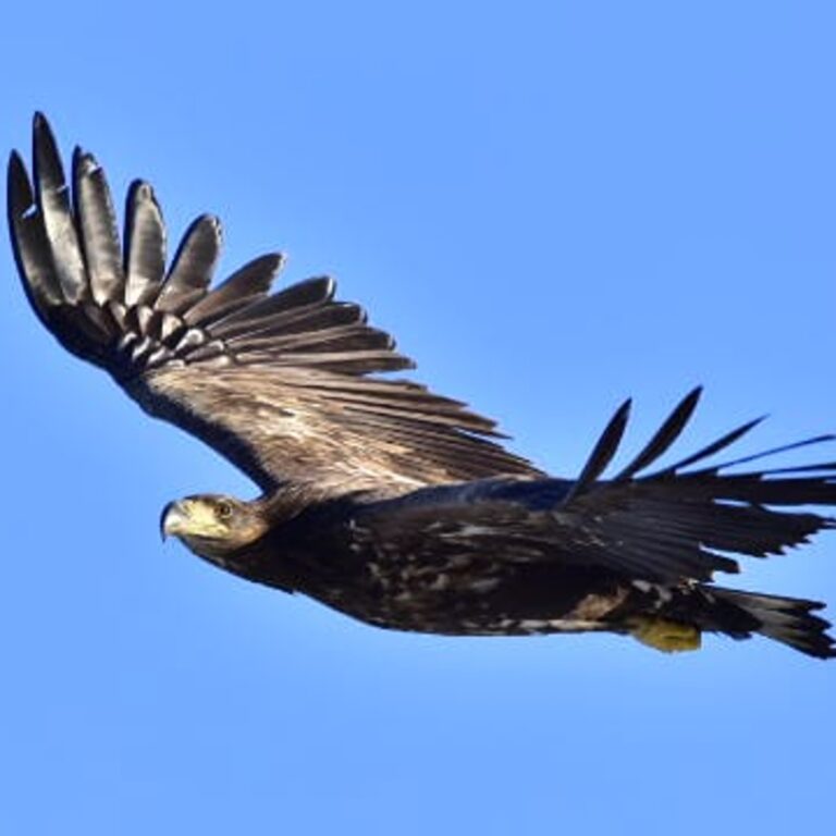 IMG 20251219 WA0001 cropped 768x768