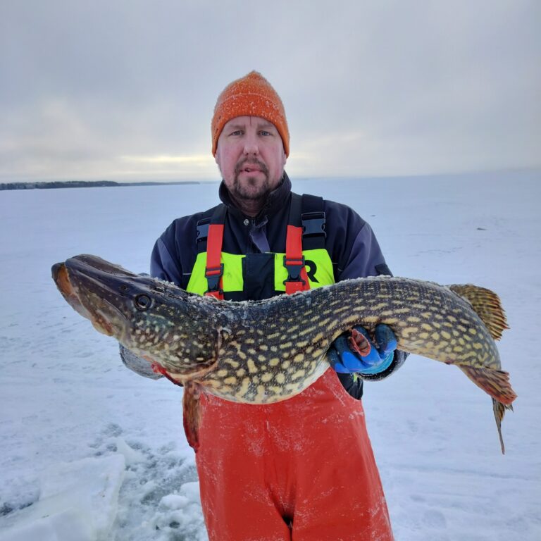 13135 cropped 768x768