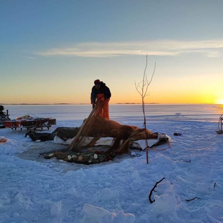 talvinuottausta cropped 768x768