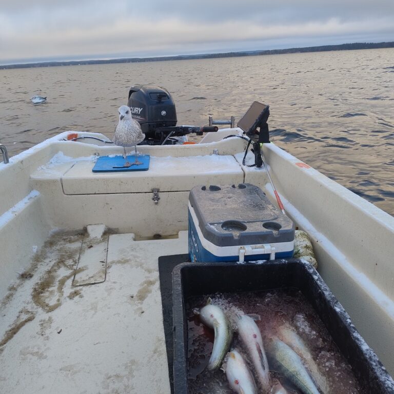 1000006486 cropped 768x768