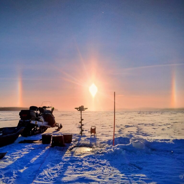 1000010048 cropped 1 768x768