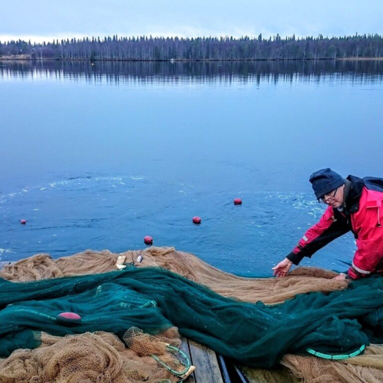 Kuontijarvella cropped 768x768