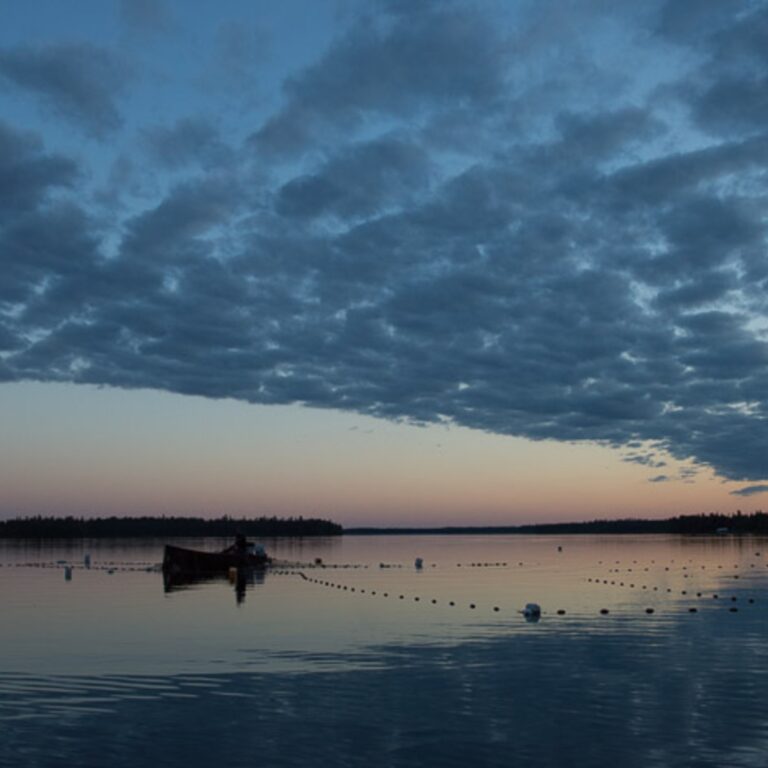 MuikkurysaAla Kitka cropped 768x768