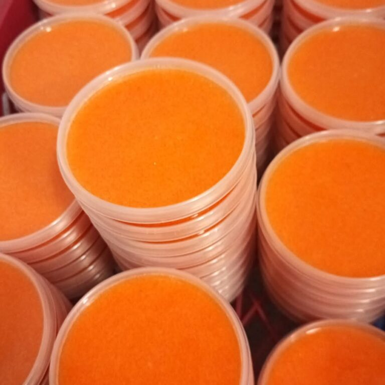 mati cropped 768x768