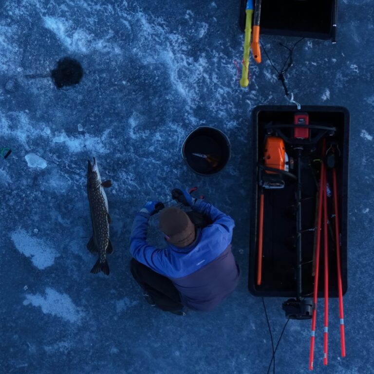 1000018397 cropped 768x768