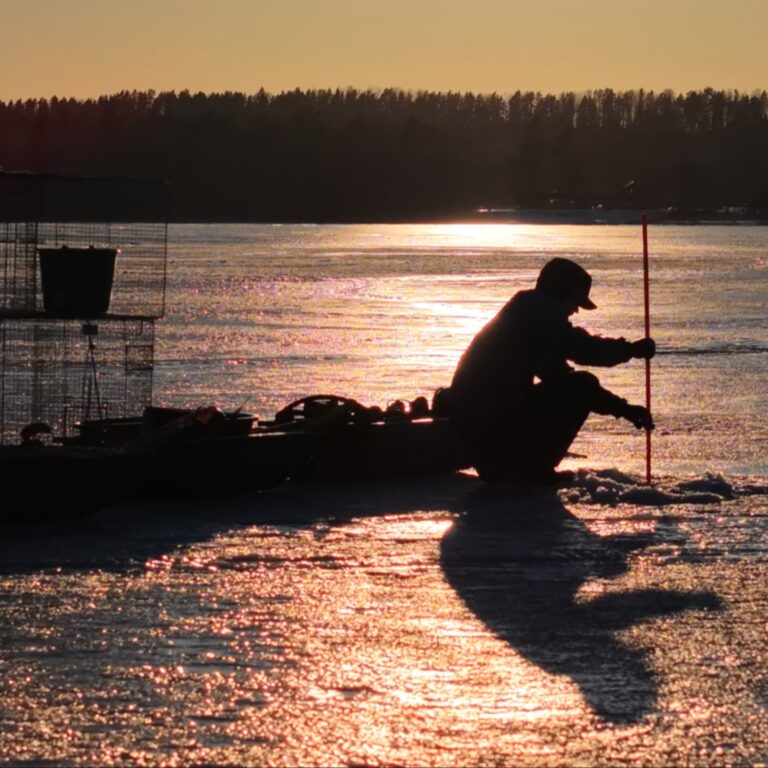 1000018414 cropped 768x768