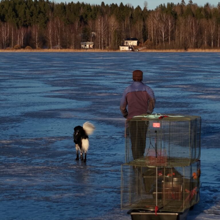 1000018415 cropped 768x768