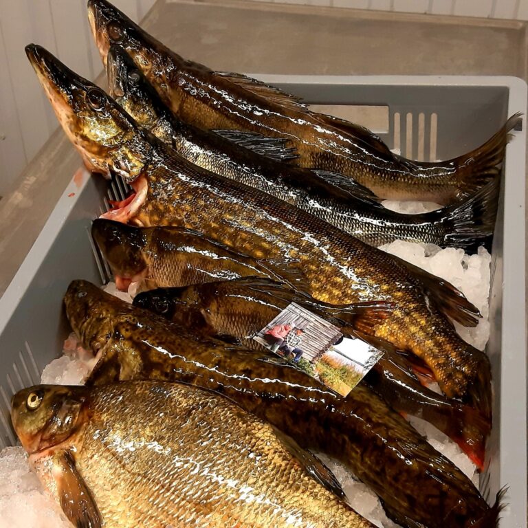 Kalastajapariskon jarvikalaa miekojarvi nelio cropped 768x768