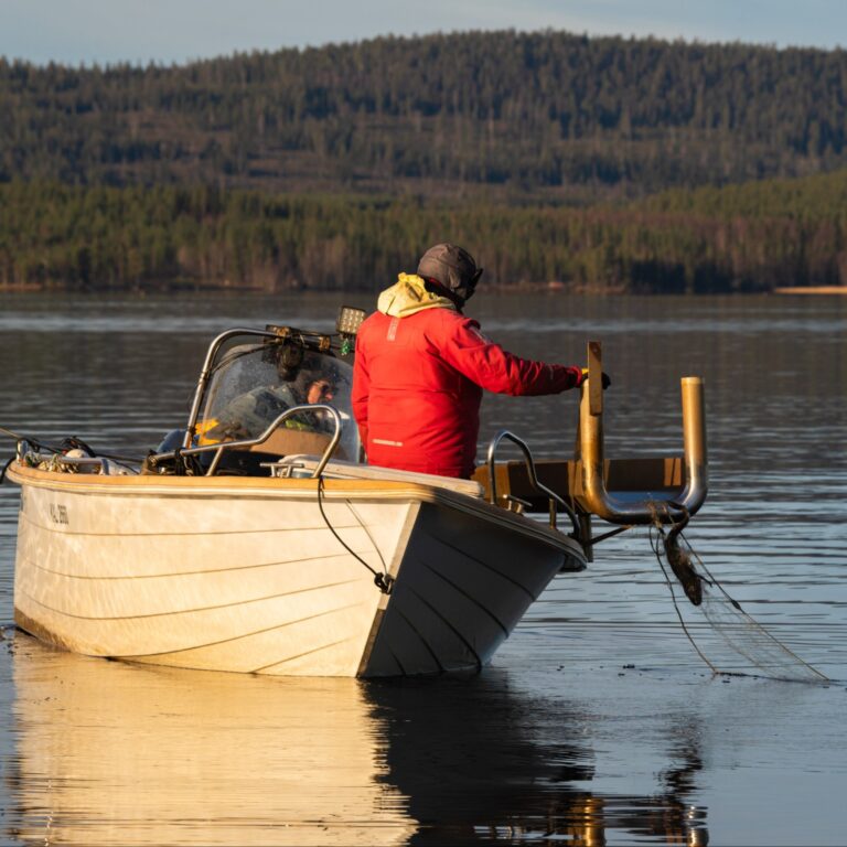 Verkonkokuussa4 joulupukkitv nelio cropped 768x768