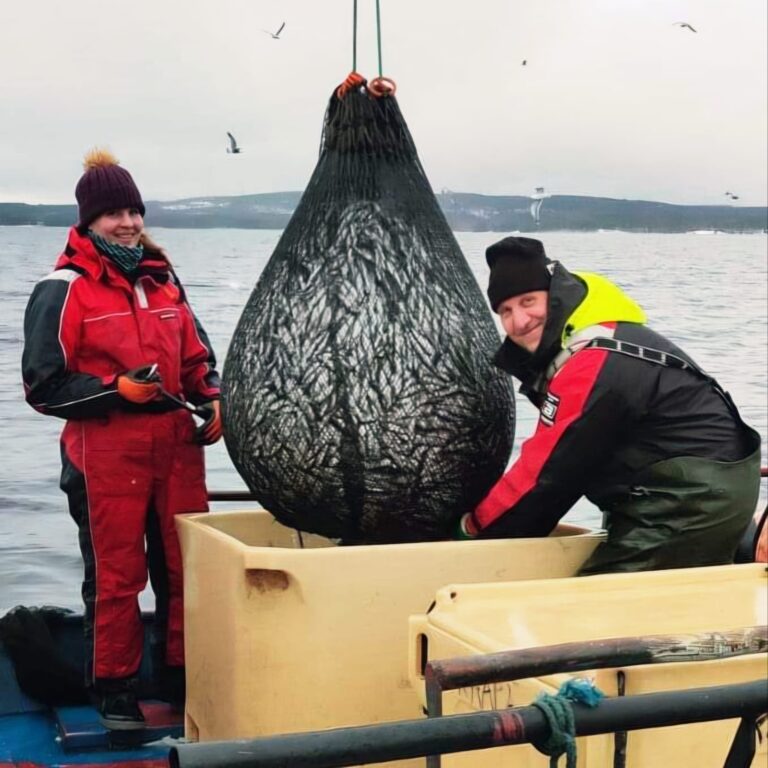 1000048708 cropped 768x768